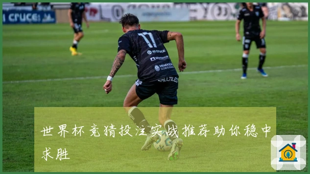 世界杯竞猜投注实战推荐助你稳中求胜