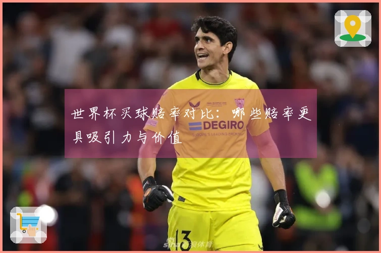世界杯买球赔率对比：哪些赔率更具吸引力与价值