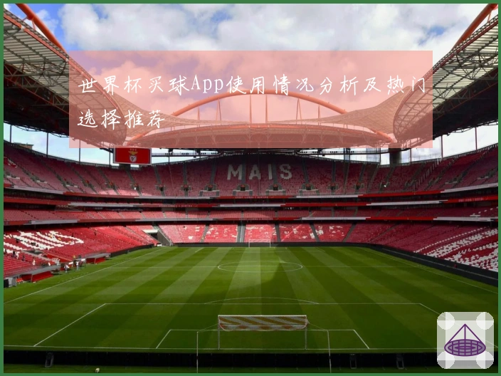 世界杯买球App使用情况分析及热门选择推荐