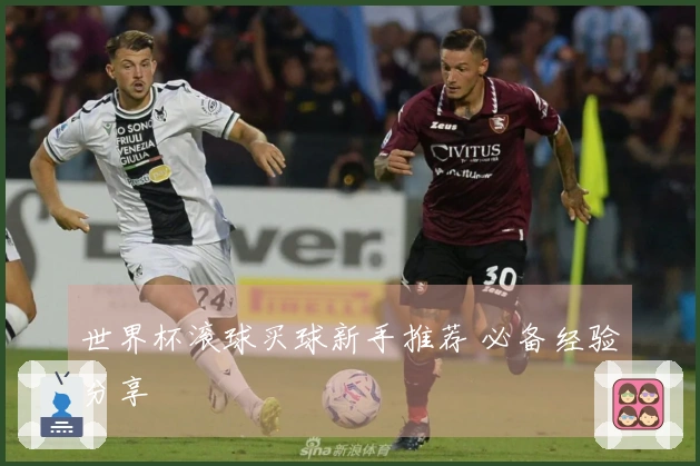 世界杯滚球买球新手推荐 必备经验分享