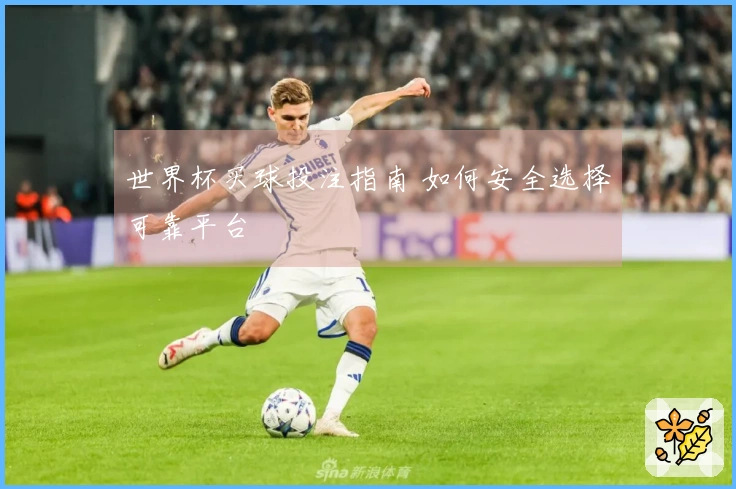 世界杯买球投注指南 如何安全选择可靠平台