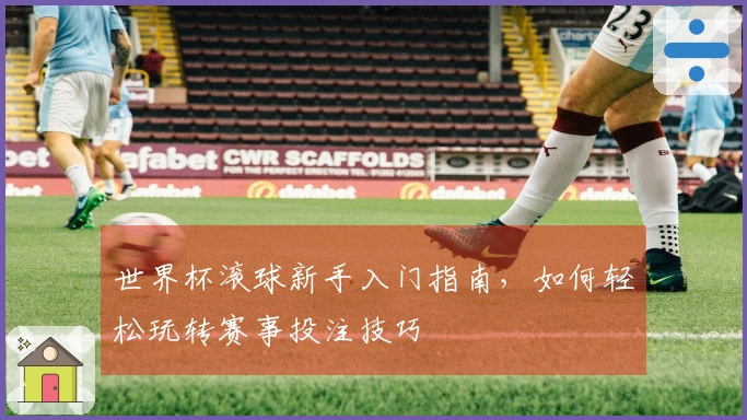 世界杯滚球新手入门指南，如何轻松玩转赛事投注技巧