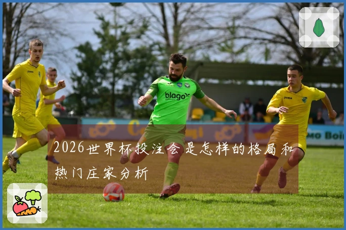 2026世界杯投注会是怎样的格局和热门庄家分析
