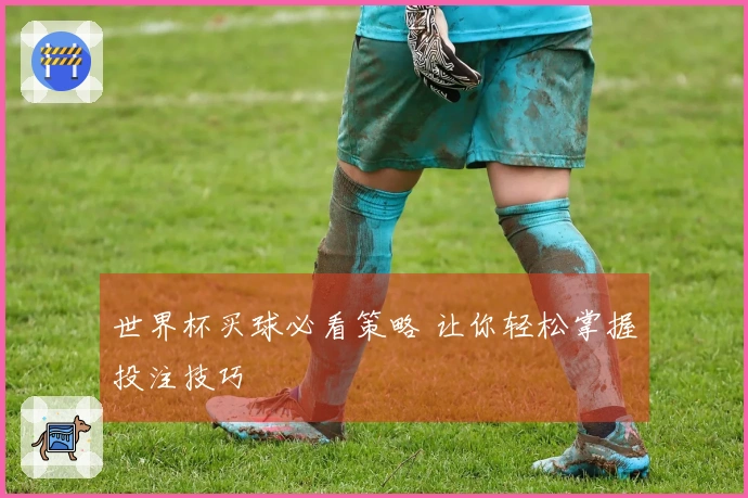 世界杯买球必看策略 让你轻松掌握投注技巧