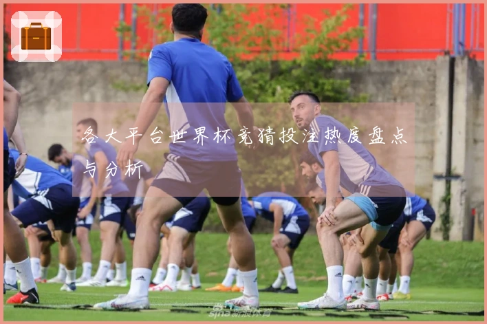 各大平台世界杯竞猜投注热度盘点与分析