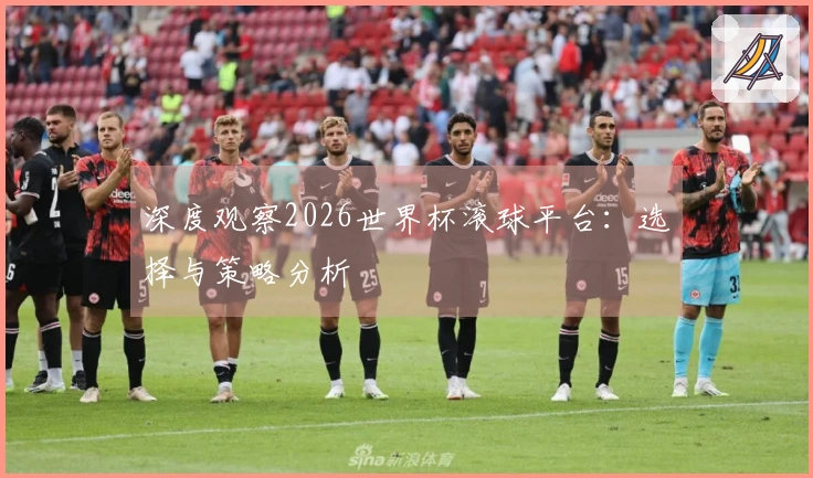 深度观察2026世界杯滚球平台：选择与策略分析