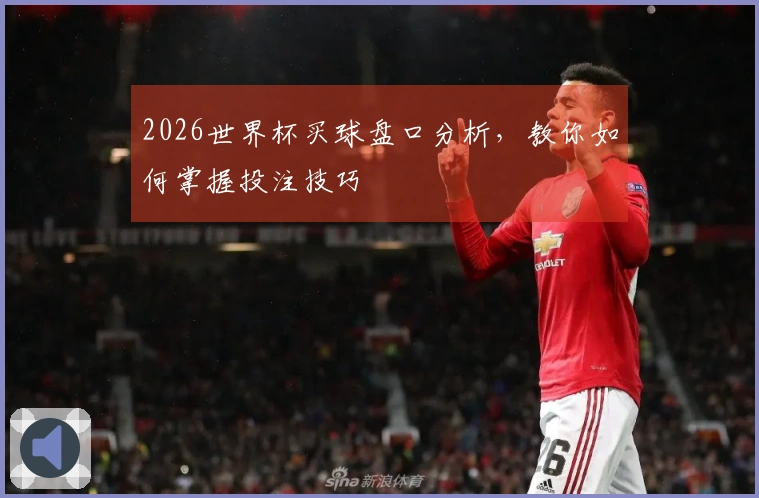 2026世界杯买球盘口分析，教你如何掌握投注技巧