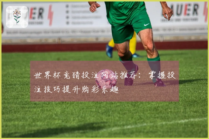 世界杯竞猜投注网站推荐：掌握投注技巧提升购彩乐趣