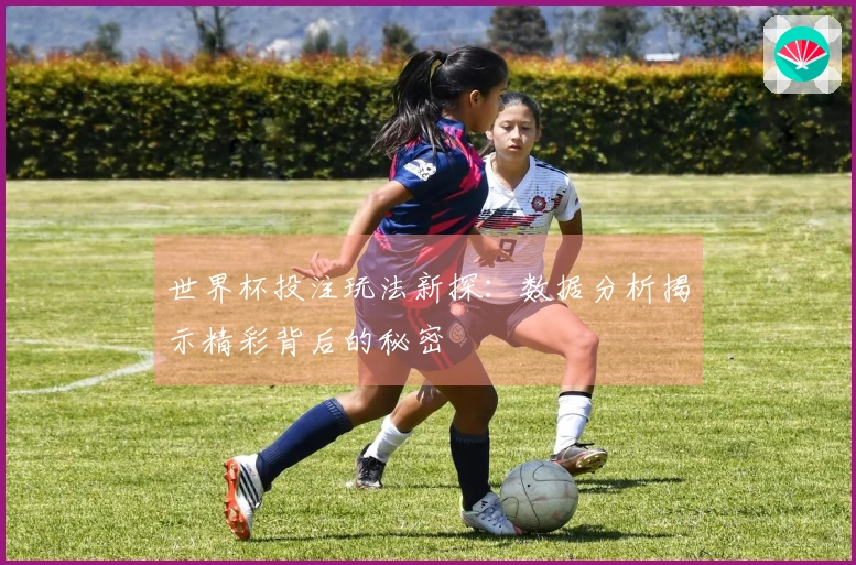 世界杯投注玩法新探：数据分析揭示精彩背后的秘密