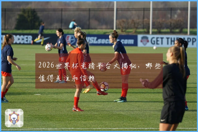 2026世界杯竞猜平台大揭秘，哪些值得关注和信赖
