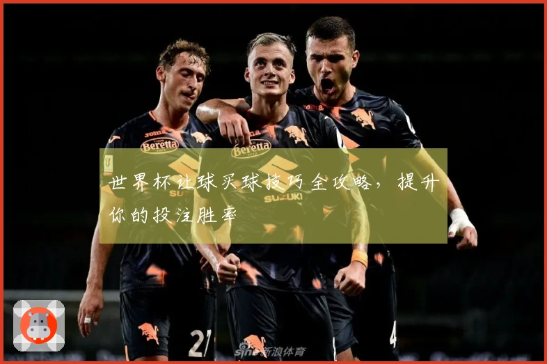 世界杯让球买球技巧全攻略，提升你的投注胜率