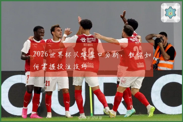 2026世界杯买球盘口分析，教你如何掌握投注技巧