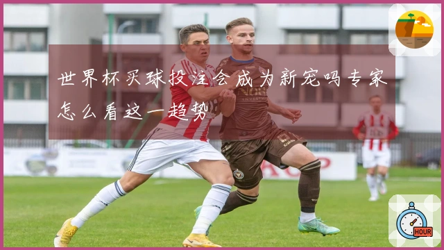 世界杯买球投注会成为新宠吗专家怎么看这一趋势