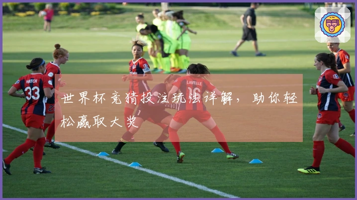 世界杯竞猜投注玩法详解，助你轻松赢取大奖