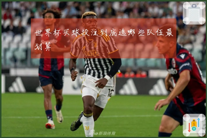世界杯买球投注到底选哪些队伍最划算