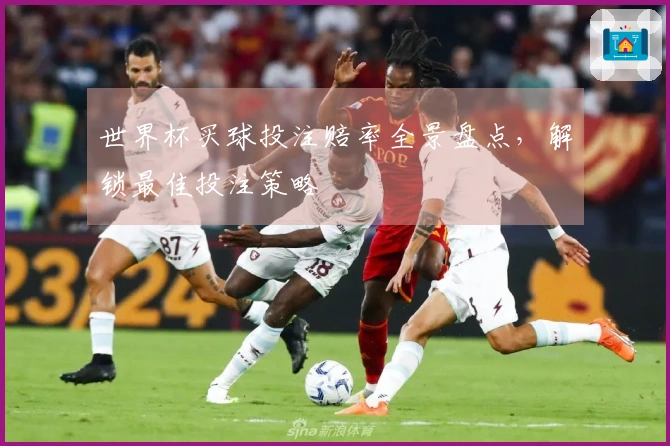 世界杯买球投注赔率全景盘点，解锁最佳投注策略