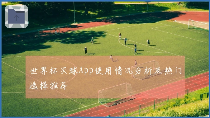 世界杯买球App使用情况分析及热门选择推荐