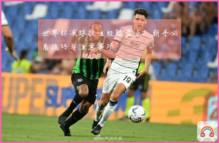 世界杯滚球投注经验盘点：新手必看技巧与注意事项