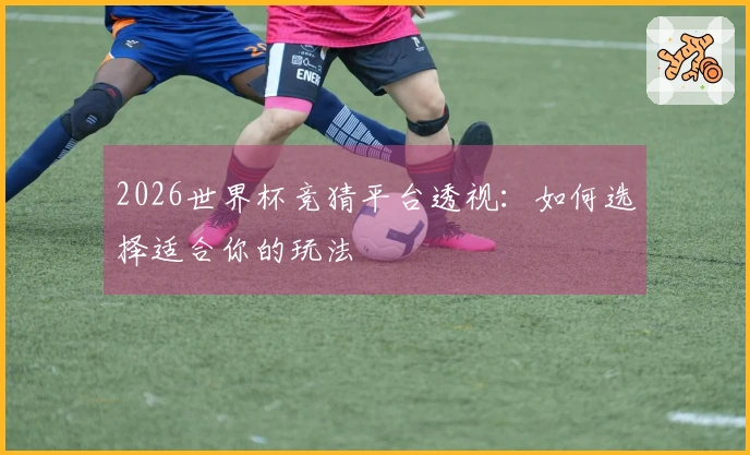 2026世界杯竞猜平台透视：如何选择适合你的玩法
