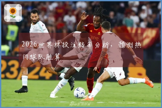 2026世界杯投注赔率分析，预测热门球队胜算