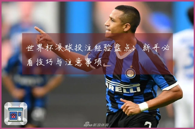 世界杯滚球投注经验盘点：新手必看技巧与注意事项
